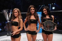 Jak wykupić dostęp na galę KSW 32?