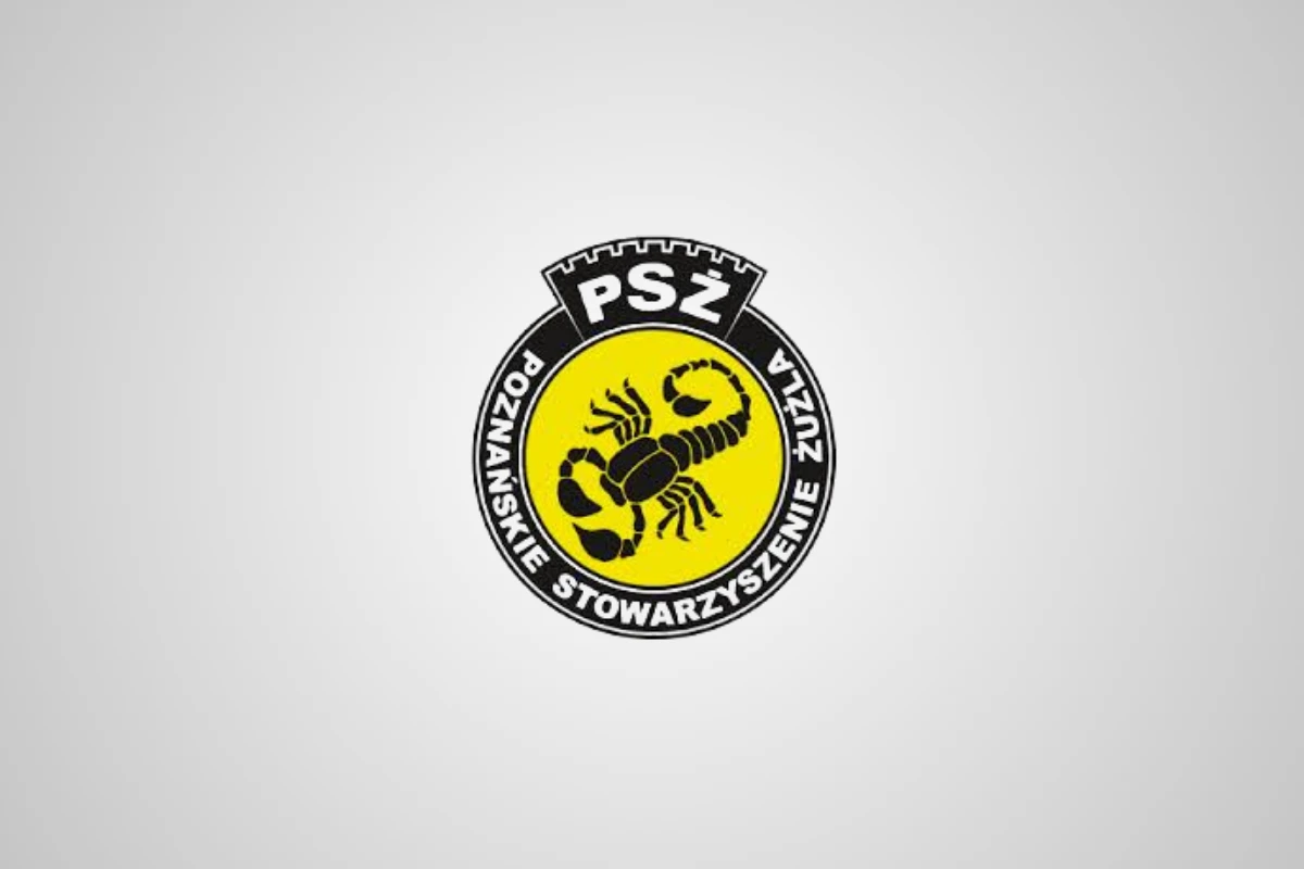 PSŻ Poznań - Orzeł Łódź transmisja na żywo. Gdzie oglądać mecz? (02.05.2026)