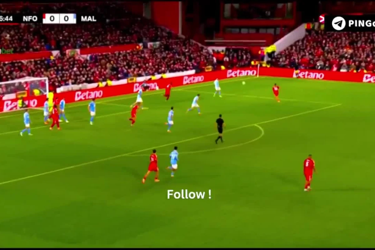 Fanion Ancien En Tissu – Football – Crvena Zvezda Belgrad (Étoile Rouge De Belgrade)